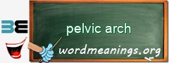 WordMeaning blackboard for pelvic arch